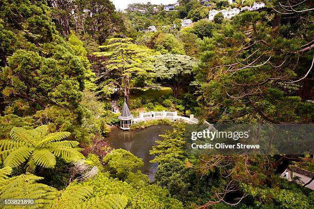 looking down on a pond and gazebo surrounded by trees, botanic gardens. - wellington nieuw zeeland stockfoto's en -beelden