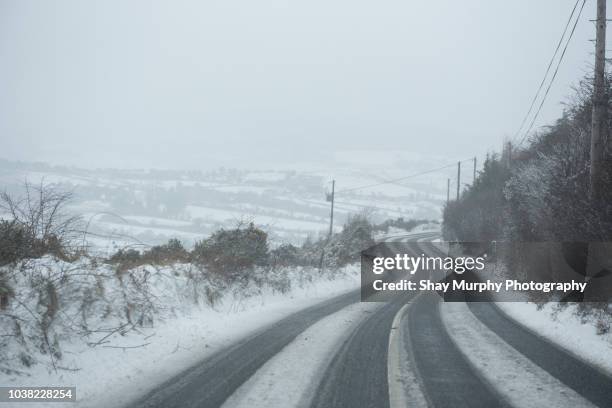 snow covered road amidst trees - ireland road stock pictures, royalty-free photos & images