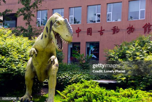 Paleozoological Museum Of China Fotografias e Filmes do Acervo
