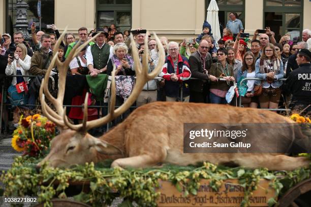 Spectators watch as a wagon of a traditional hunting association drives by bearing a dead dear during the Oktoberfest parade of costumes of folk and...