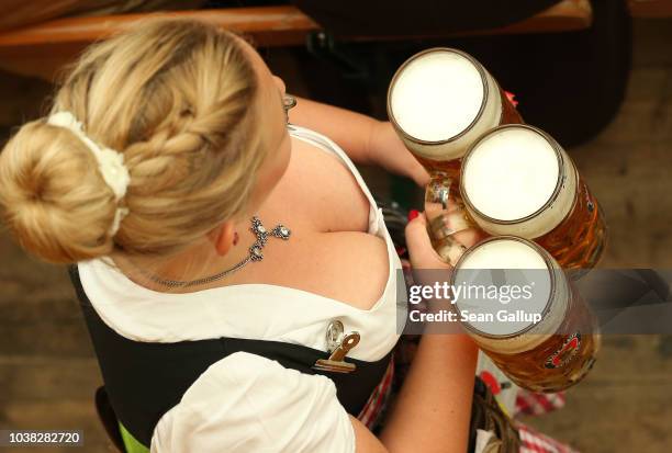 Waitress delivers one liter mugs of beer in the Armbrustschuetzenzelt tent following the Oktoberfest parade of costumes of folk and crafts...