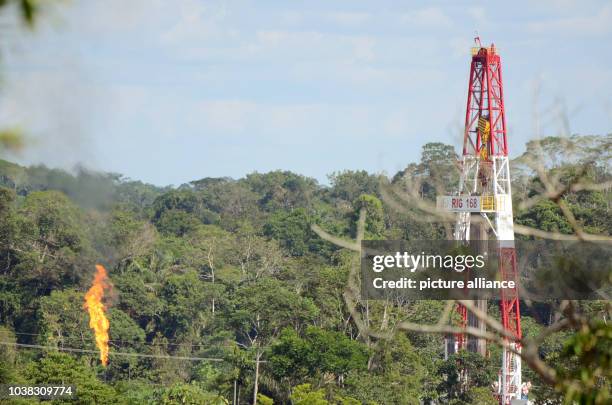 An oil production facility on the edge of the Yasuni National park near Coca, Ecuador, 22 October 2016. The oil production is an international...