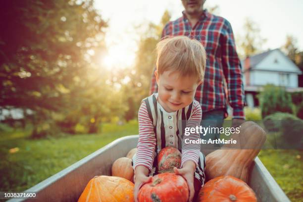 leuke jongen en zijn vader met pompoenen in de herfst - fries stockfoto's en -beelden