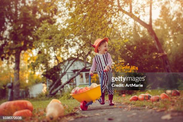 cute boy with pumpkins in autumn - naughty halloween stock pictures, royalty-free photos & images