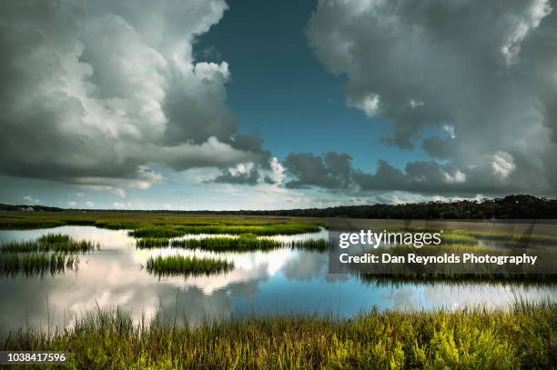 scenic landscape - jekyll island stock pictures, royalty-free photos & images