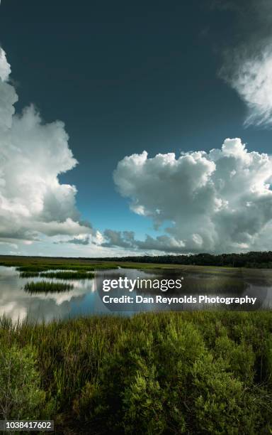 scenic landscape - amelia island stock pictures, royalty-free photos & images