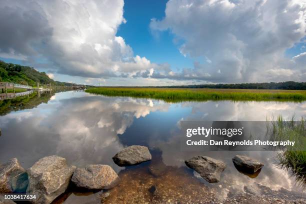 scenic landscape - florida v georgia stockfoto's en -beelden