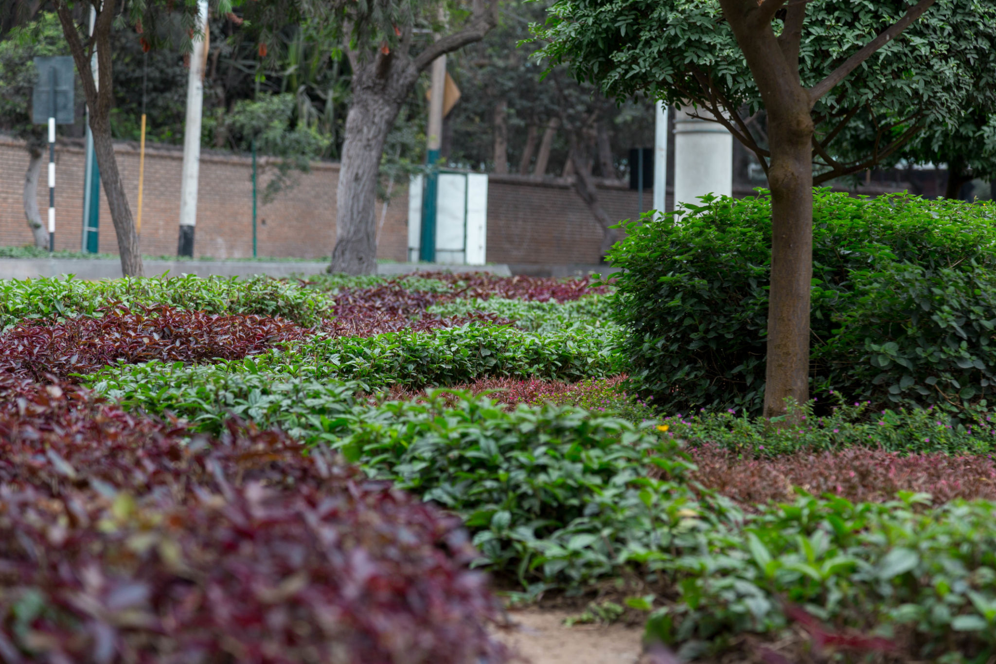 sostenibilidad jardinería