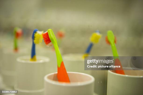 Children toothbrushes stand in glasses in the Wichtel Akademie in Munich, Germany, 24 April 2013. This day-care platform is interesting for employed...