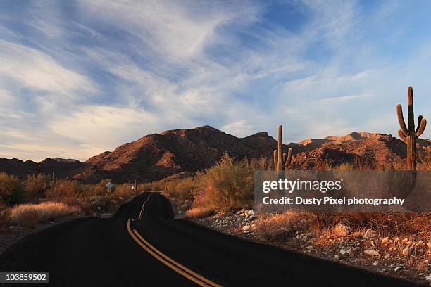 saguaro curve - phoenix arizona desert stock pictures, royalty-free photos & images