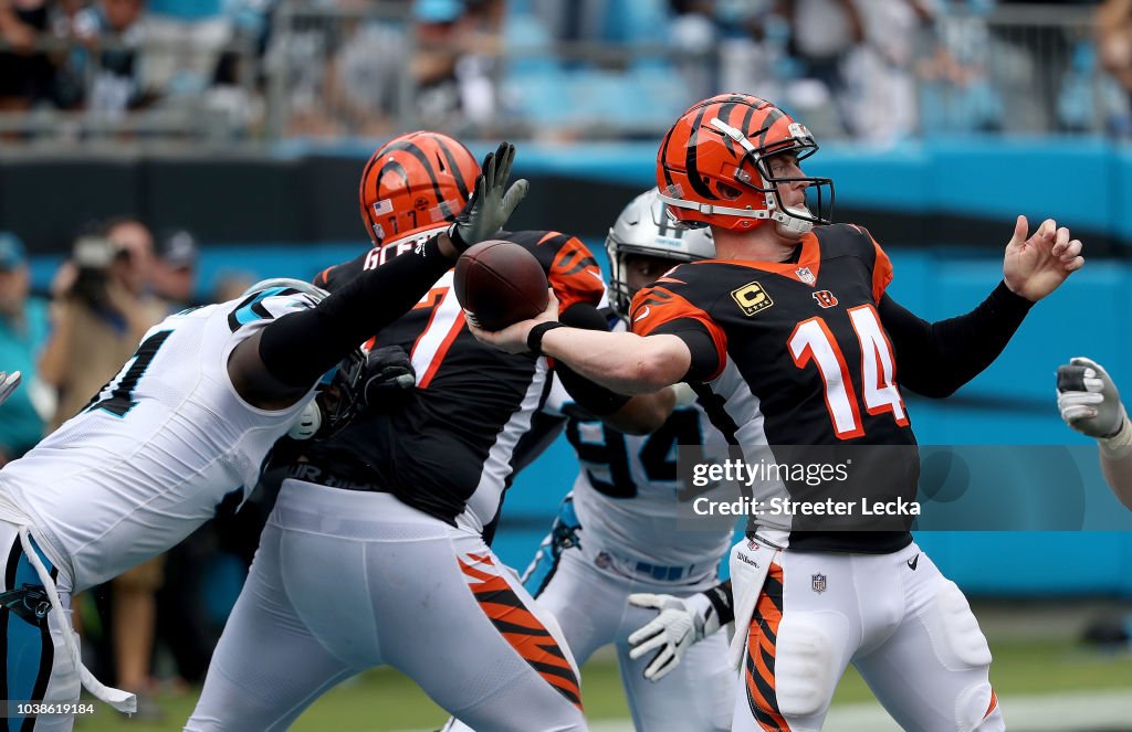 Cincinnati Bengals v Carolina Panthers