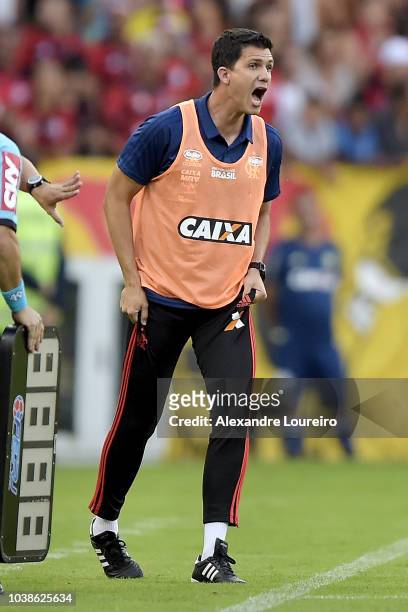 Mauricio Barbieri, Head Coach of Flamengo in action during the match between Flamengo and Atletico-MG as part of Brasileirao Series A 2018 at...