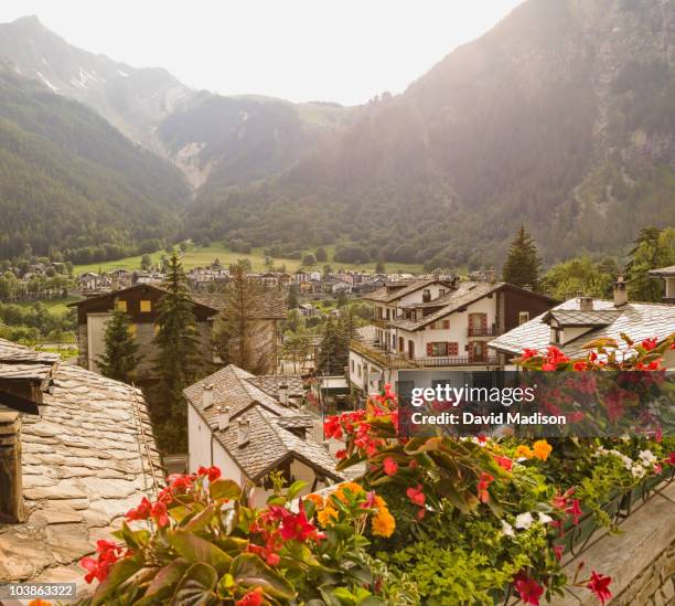 begonia pots and view of courmayeur. - courmayeur stock-fotos und bilder