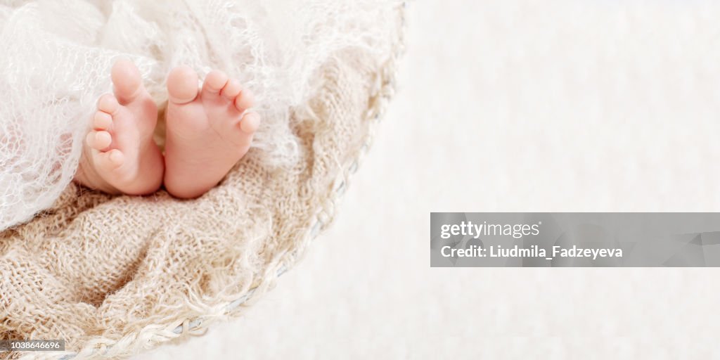 Newborn baby feet on knitted plaid. Closeup picture. Copyspace