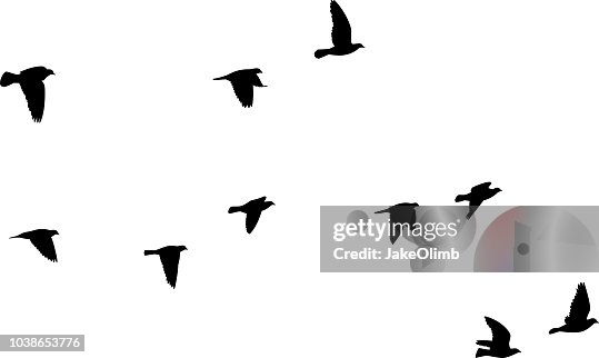 Palomas vuelan siluetas 2 Palomas vuelan siluetas 2