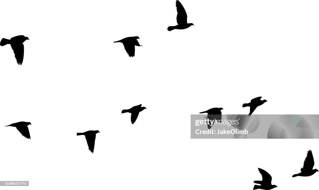 Pigeons Flying Silhouettes 2
