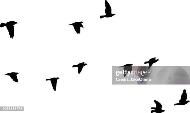 pigeons flying silhouettes 2 - mid air stock illustrations