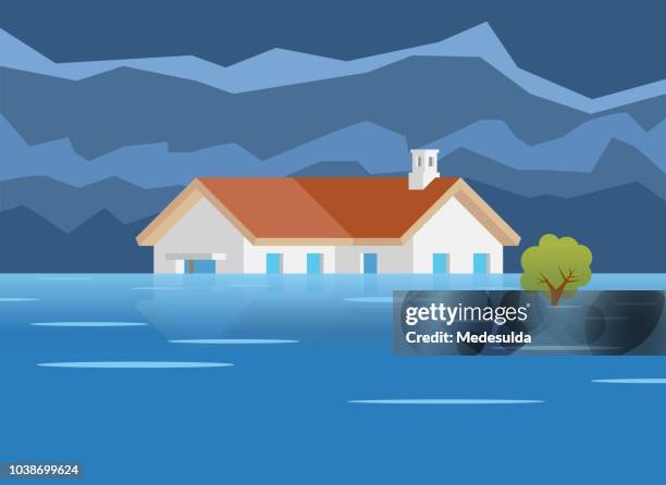 stockillustraties, clipart, cartoons en iconen met flood ramp home vector - huis overstroming