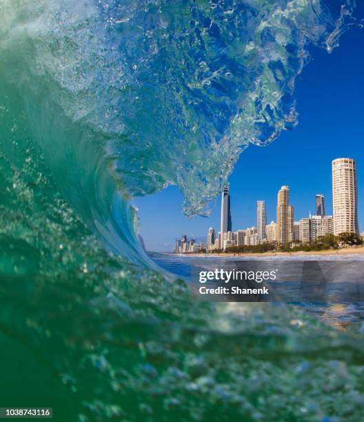 澳大利亞, 黃金海岸 - gold coast queensland 個照片及圖片檔