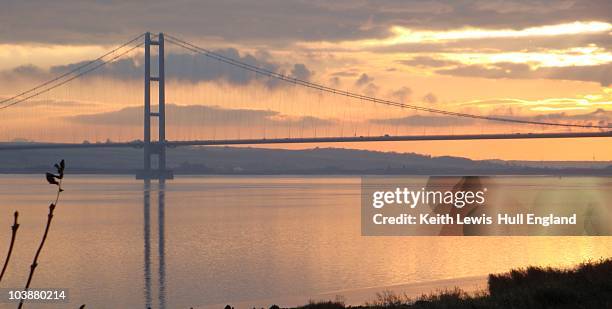 humber bridge......a  car window perspective - humber bridge stockfoto's en -beelden