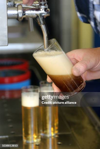 Glass of Altbier 'old beer', a dark top-fermented beer traditionally brewed around the city of Düsseldorf, is poured from a tap in a pub in Moers,...