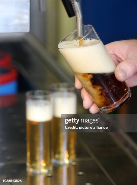 Glass of Altbier 'old beer', a dark top-fermented beer traditionally brewed around the city of Düsseldorf, is poured from a tap in a pub in Moers,...