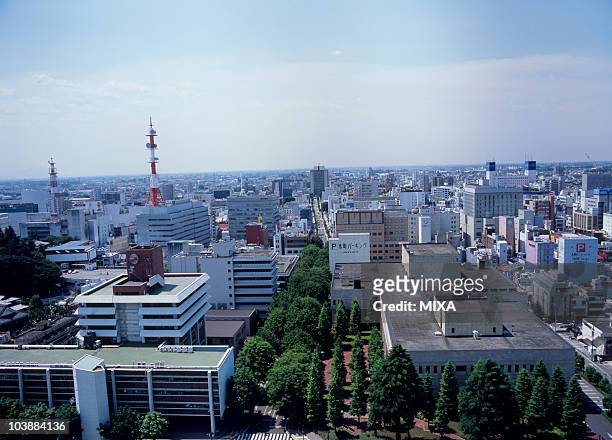 utsunomiya city, tochigi, japan - utsunomiya stock pictures, royalty-free photos & images