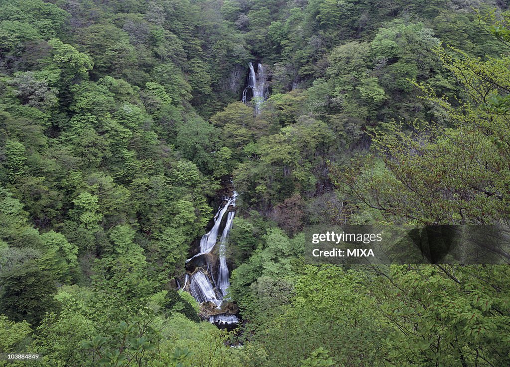 Kirifuri Waterfall, Nikko, Tochigi, Japan