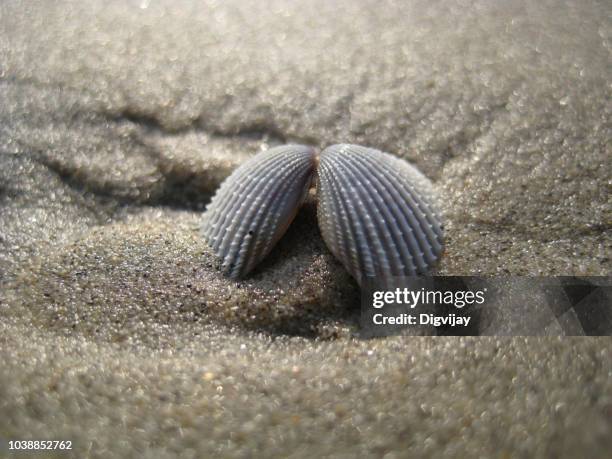 2,928 Goa Nature Stock Photos, High-Res Pictures, and Images - Getty Images