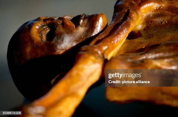 Replication of Oetzi the Iceman is on display as part of the exhibition Oetzi 2.0 at the state archeaological museum in Munich, Germany, 06 February...