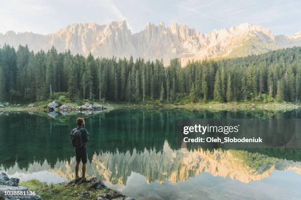 homme debout et la recherche au lago di carezza dans les dolomites - france austria photos et images de collection