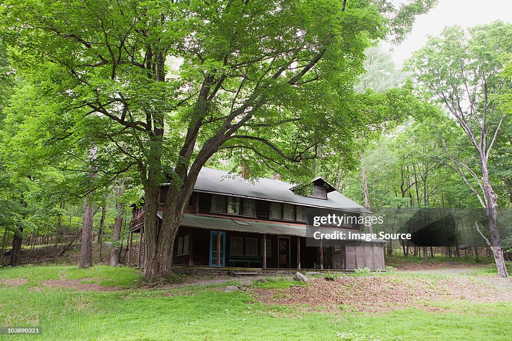 Holiday home exterior, rural scene