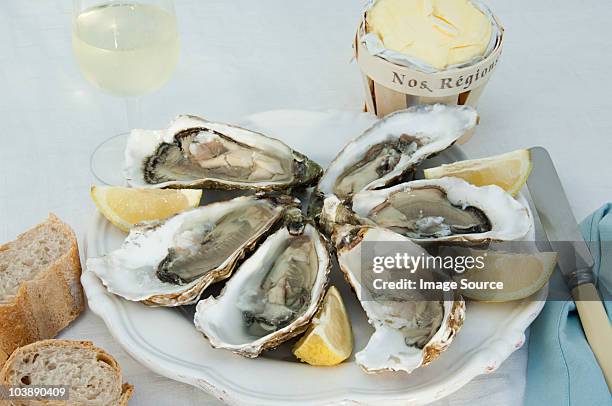 oysters in shells with lemon - bread butter stock pictures, royalty-free photos & images