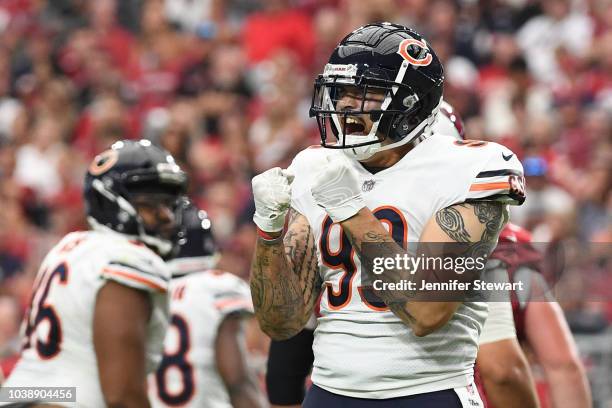 Linebacker Aaron Lynch of the Chicago Bears celebrates on the field during the NFL game against the Arizona Cardinals at State Farm Stadium on...