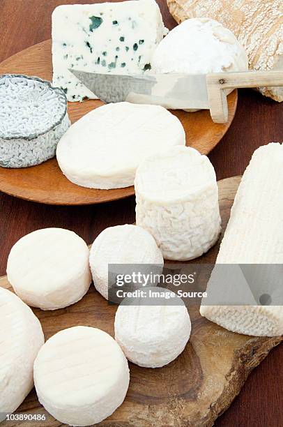 goat and sheep cheeses - queso de cabra fotografías e imágenes de stock