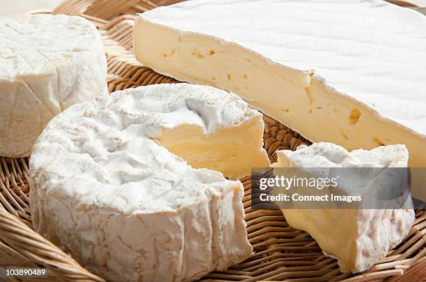 camembert and brie cheeses - fromage photos et images de collection