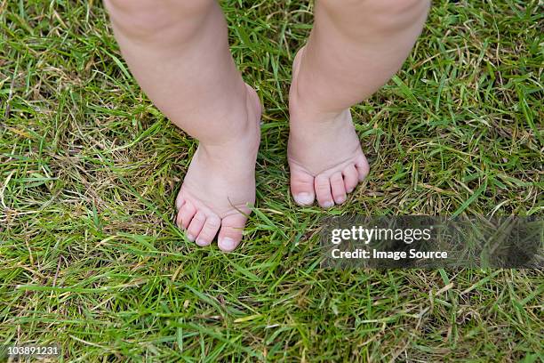 baby legs and feet on grass - looking down at feet stock pictures, royalty-free photos & images