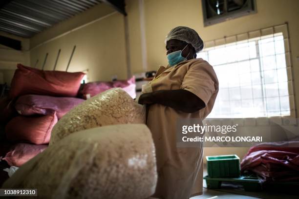 Virginia Ramuhuhu hauls bags of baobab fruit seeds at the Eco Products lab headquarters in Louis Trichardt, in the Limpopo Province, on August 27,...