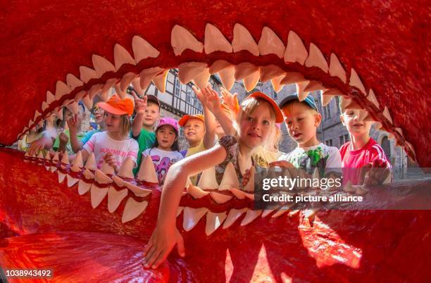 144 Megalodon Photos Stock Photos, High-Res Pictures, and Images