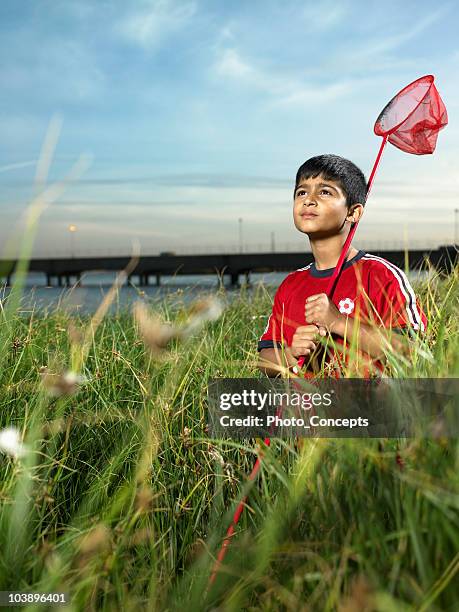 boy with butterfly net - catching bugs stock pictures, royalty-free photos & images