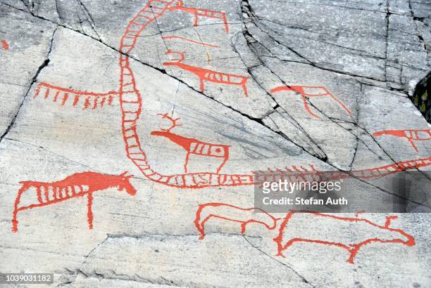 elk and reindeer, rock painting, rock art at alta, norway, scandinavia - alta rock art stock pictures, royalty-free photos & images