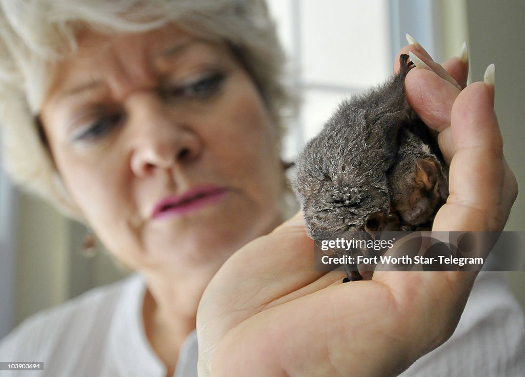 ENV-BAT-REHAB