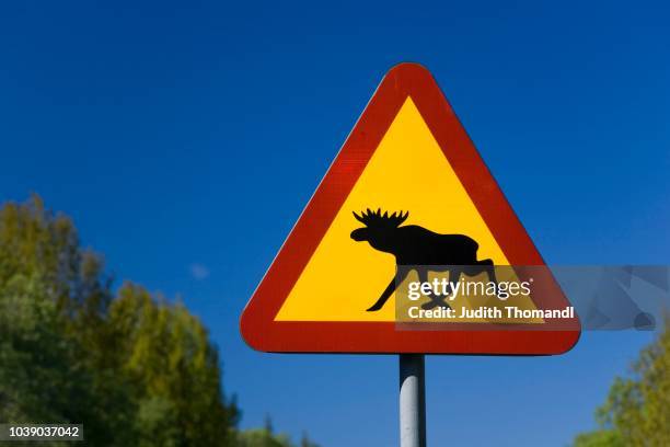 moose warning sign, sweden, scandinavia - moose swedish stock pictures, royalty-free photos & images
