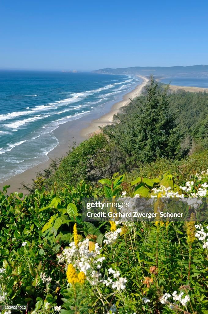 Netarts Bay, Cape Lookout State Park, Oregon, Oregon, USA