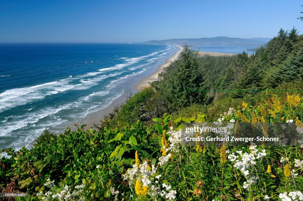 Netarts Bay, Cape Lookout State Park, Oregon, USA
