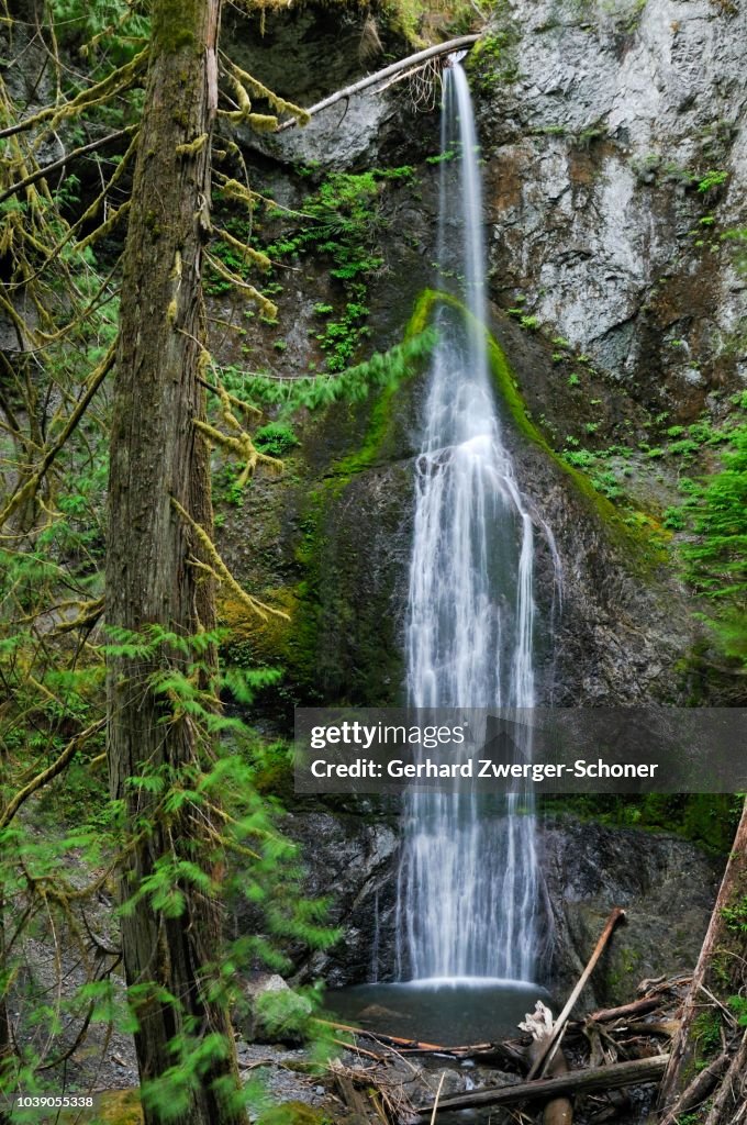 Marymere Falls, waterfall, tourist attraction, Olympic National Park, Washington, USA