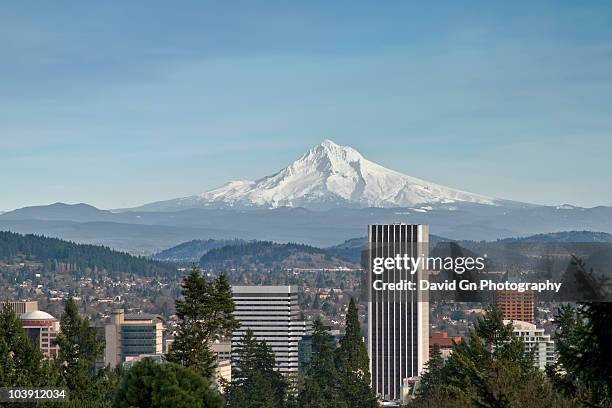 mount hood view with portland downtown skyline - portland oregon stock-fotos und bilder