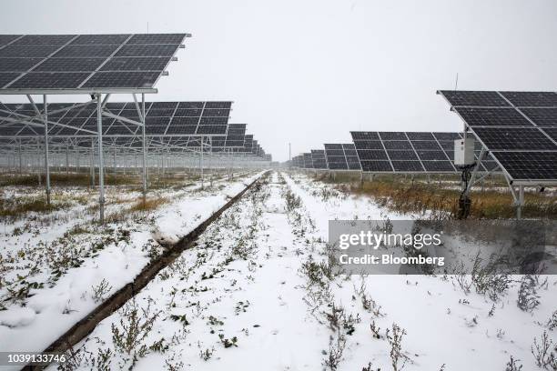 Solar panels stand at the Everyday Farm LLC Monnaran Solar Farm Project, a joint venture between Bridge LLC and Farmdo Co., in Ulaanbaatar, Mongolia,...