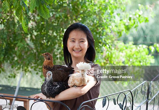 girl smiling holding 3 pet chickens. - wyandotte plateado fotografías e imágenes de stock