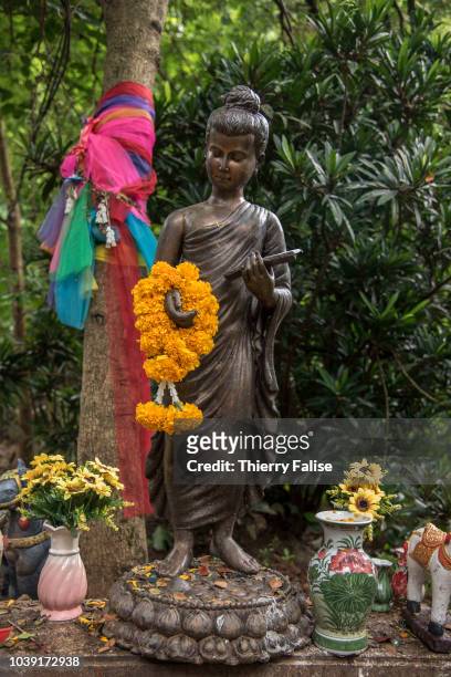The statue of a princess believed to inhabit the Tham Luang cave stands at the cave entrance. Twelve boys, members of the football team Wild Boars,...